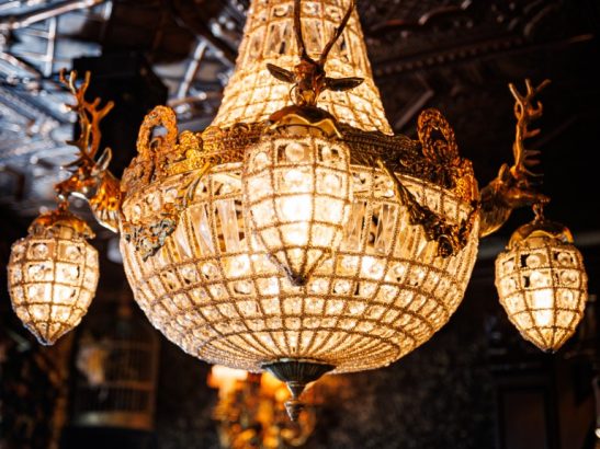 Kroon {{brizy_dc_image_alt imageSrc=